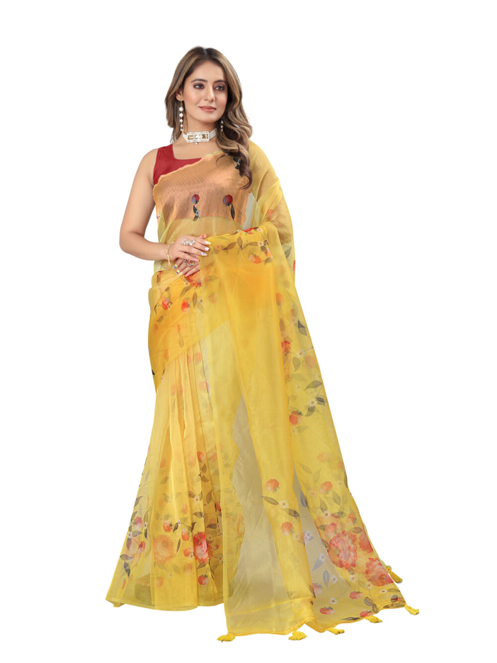 SUNLIT BLOOM ORGANZA SAREE